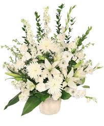 Braxton Savant, Death, Accident: New Mexico - US state Died In Fatal Traffic Collision